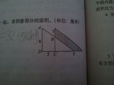 直角三角形的面積公式(直角三角形的面積怎么算)