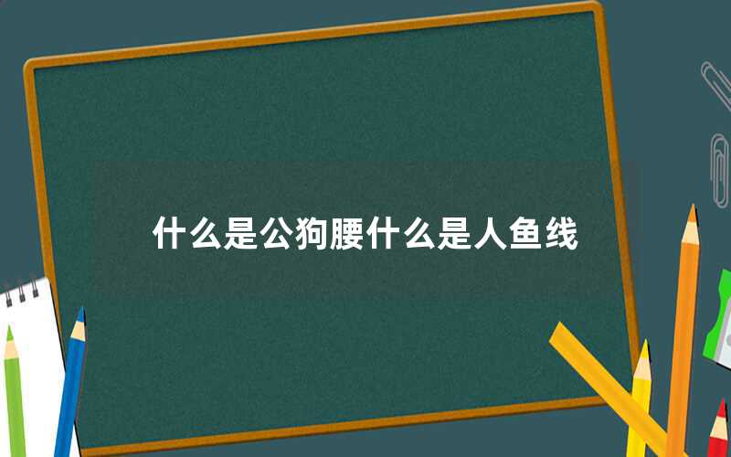 什么是公狗腰什么是人魚線