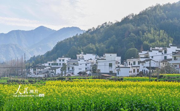 江西婺源幾月份去最好