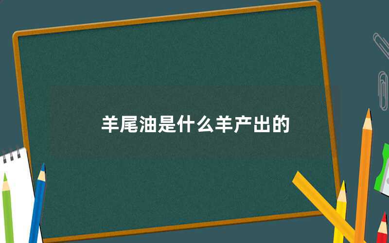 羊尾油是什么羊產出的