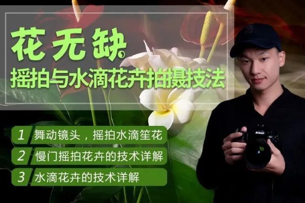 花無缺-搖拍與水滴花卉拍攝技法