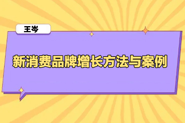 王岑-新消費品牌增長方法與案例