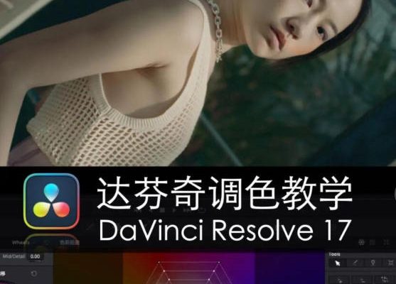 舞光弄影-達(dá)芬奇調(diào)色教學(xué)DaVinci Resolve17速成教學(xué)大師指南課