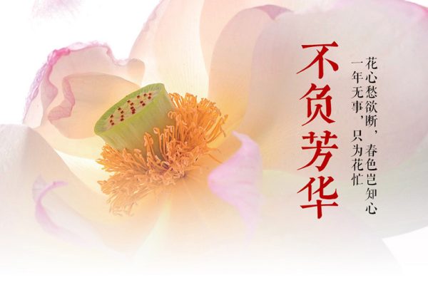 葛宏軍-不負芳華，花卉攝影技法完全寶典后期課程