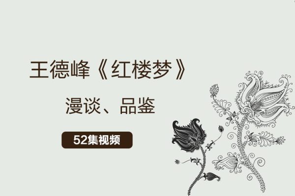 王德峰-紅樓夢漫談品鑒合集（52集視頻）