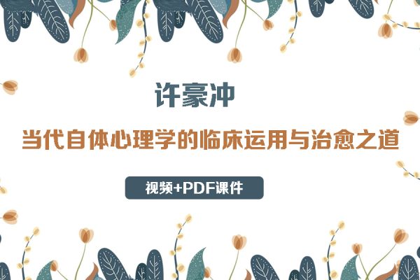 許豪沖-當代自體心理學的臨床運用與治愈之道（視頻+PDF課件）