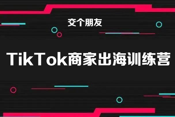 【交個朋友電商學苑】TikTok商家出海訓練營（視頻6講）