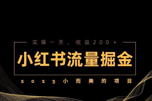 2023小而美的項目，小紅書流量掘金，實操一天，收益200+【揭秘】