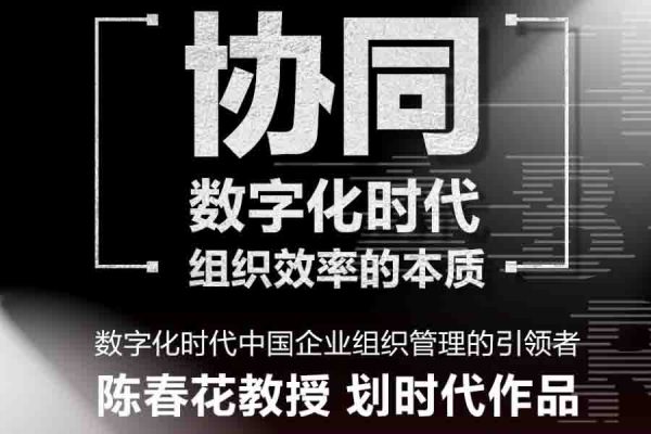 陳春花《數字化時代的管理訓練》（30年管理智慧）20集視頻