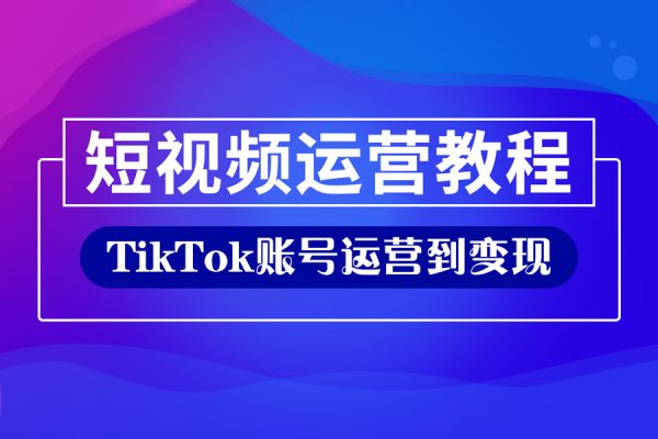 從0基礎到精通進階，TikTok賬號運營到變現的全流程出海模式培訓