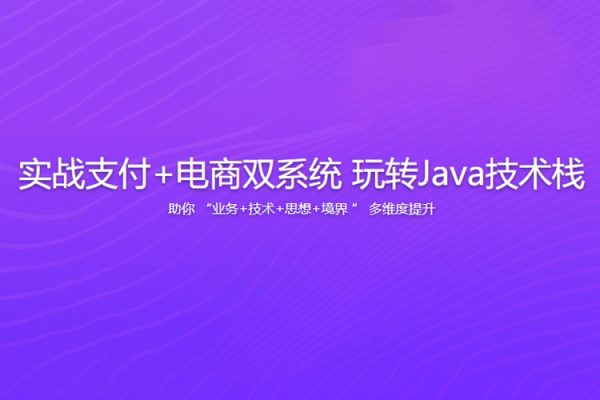 實戰(zhàn)支付+電商雙系統(tǒng) 玩轉(zhuǎn)Java技術(shù)棧