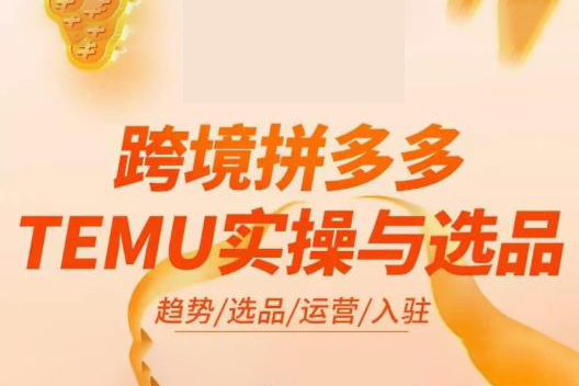 伍躍-跨境拼多多TEMU實操與選品