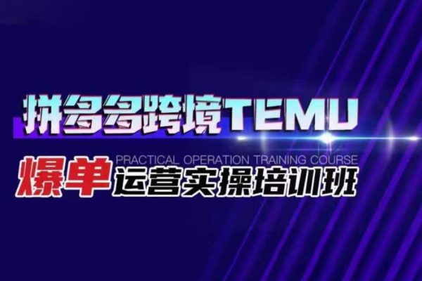 拼多多跨境TEMU爆單運營實操培訓班，海外拼多多的選品、運營、爆單