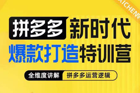 推易拼多多VIP全套直播課程，拼多多店鋪實操玩法+實戰(zhàn)玩法選款內(nèi)功+直通車高階等