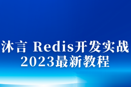 沐言 Redis開發實戰 2023最新教程