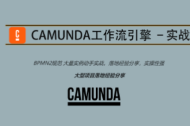 Camunda高級實戰培訓系列教程