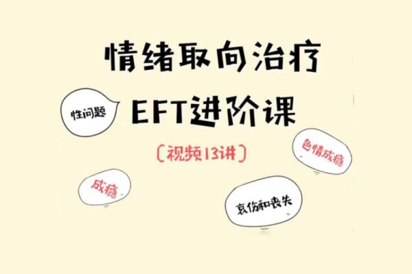 EFT夫妻咨詢進階核心13講