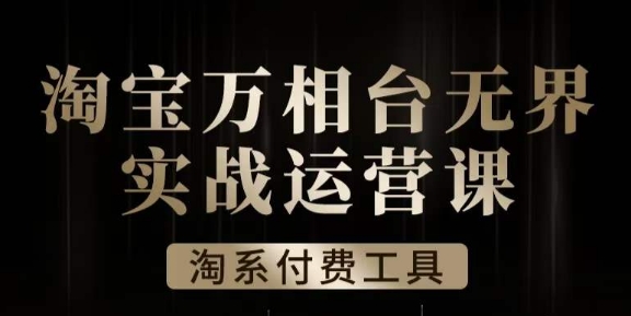 滄海·淘系萬相臺無界實戰運營課，萬相臺無界實操全案例解析