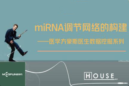 數據挖掘—miRNA調節網絡的構建