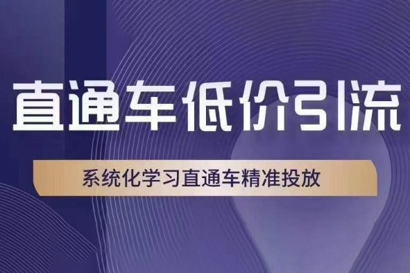 直通車低價引流課，系統化學習直通車精準投放