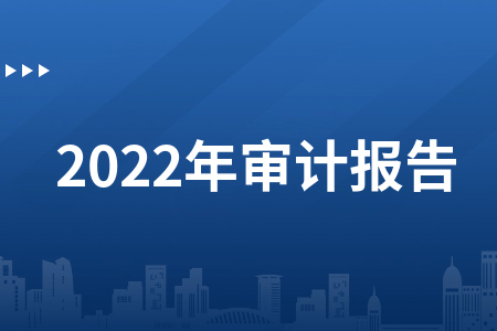 Benny I 超白金2022年審計實務（3節視頻）