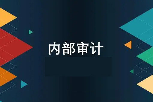 中華內(nèi)部審計(jì)講解課程（視頻11集）