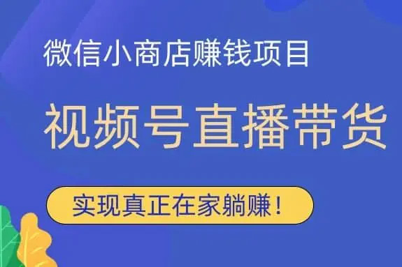 視頻號直播年貨，時令項目流量起飛