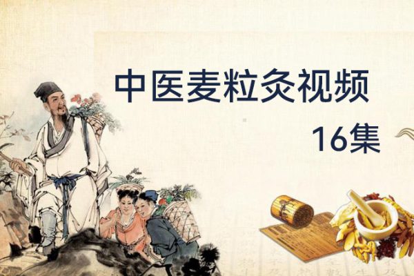 中醫(yī)麥粒灸視頻課程16集