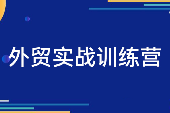 外貿(mào)實戰(zhàn)訓(xùn)練營，新手必備的外貿(mào)入門課程（24節(jié)視頻課）