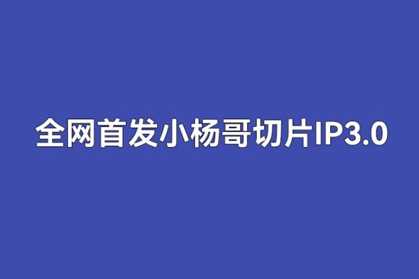 全網(wǎng)首發(fā)小楊哥切片IP3.0，日入500+，保姆級教學(xué)，小白可做【揭秘】