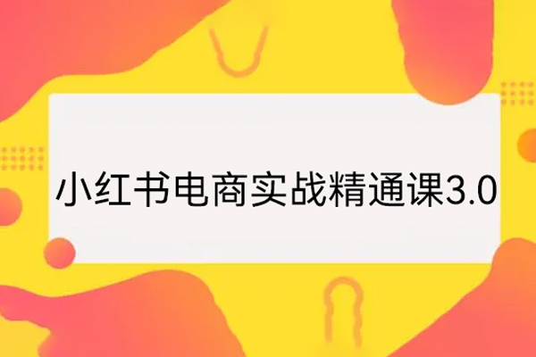 小紅書電商實戰精通課3.0，抓住小紅書平臺的風口，不錯過有一個賺錢的機會