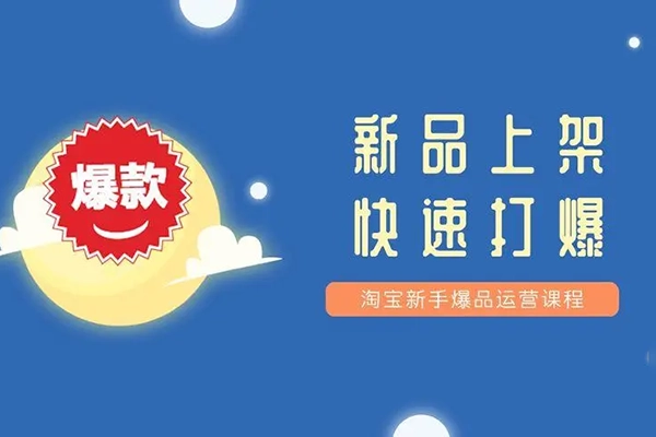 電商新品從上架到打爆【推廣+運營】，新手從0打爆款