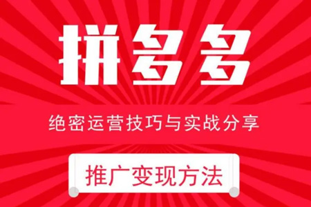 2024年最新拼多多視頻變現教學訓練營