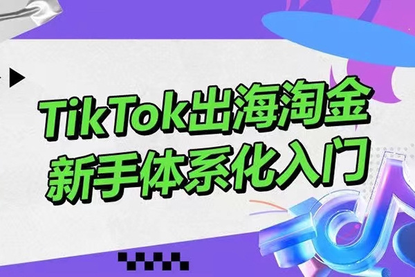 大彬TikTok出海淘金，新手體系化入門，零基礎快速入門，掌握短視頻、直播帶貨等引流到變現的知識