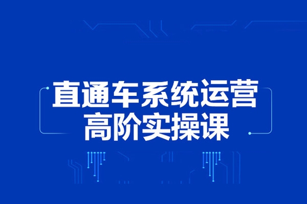 2024無界直通車系統實操課程，帶你學會萬相無界關鍵詞推廣，4.0升級版，系統化課程 理論+實操