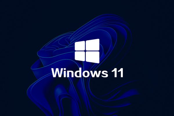 Win11 22H2 X64純凈專業(yè)輕簡(jiǎn)&完整版