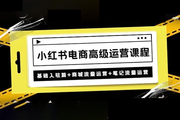 小紅書高級電商運營課，從0開始做小紅書電商