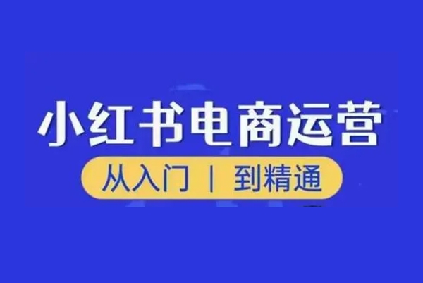 小紅書電商運營從入門到精通課，電商店群實戰，從0開始到學會