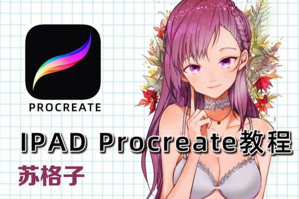 蘇格子IPAD繪畫procreate基礎(chǔ)課2022年