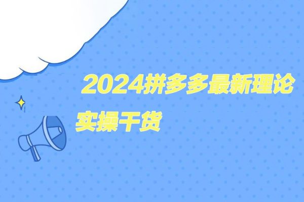 2024拼多多最新理論+實操干貨，從入門到精通全鏈路多角度學習