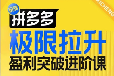 拼多多極限拉升盈利突破進階課，從算法到玩法，從玩法到團隊搭建，體系化系統性幫助商家實現利潤提升