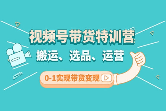 張小偉視頻號帶貨實操課【九月最新】 無人直播、書單號賣貨、個人IP口播等 釘釘直播課+資料素材