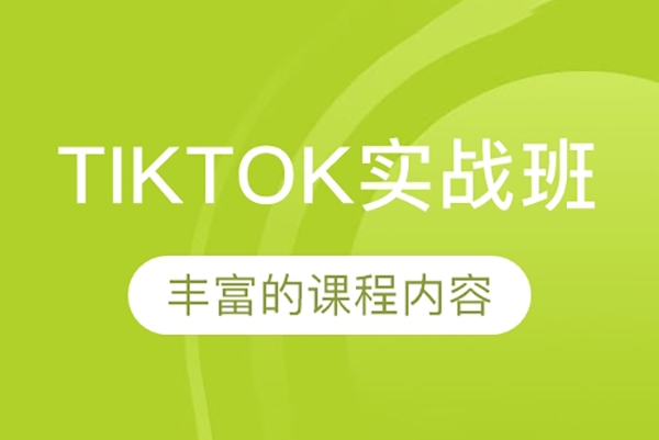 TikTok達人實戰(zhàn)課，Tiktok達人變現(xiàn)全套流程