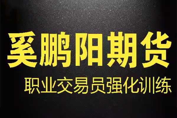 奚鵬陽期貨課程 職業交易員強化訓練營 買賣核心技術視頻全套