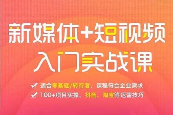 拼多多矩陣動銷系列課，能持續盈利的多多矩陣，0基礎也聽得懂，玩法持續更新