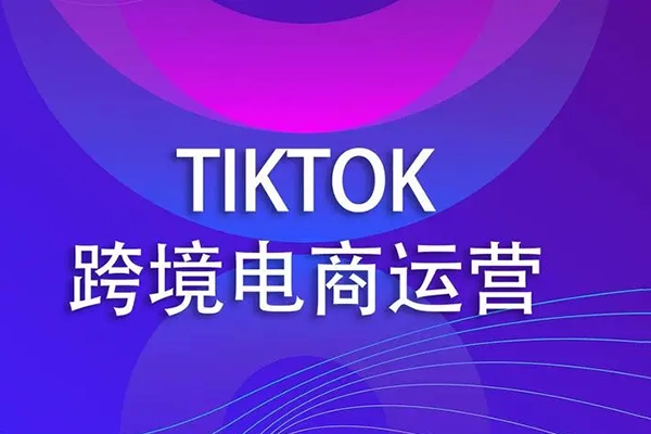 TK虛擬資源變現(xiàn)-Tiktok跨境電商教程