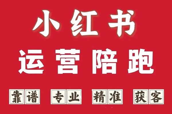 小紅書1v1電商陪跑服務，資料+課程完整版，選品/筆記/爆單，全案課